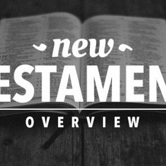 Steadman's New Testament