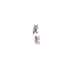 Alex G Animals Jersey club remix #jerseyclub
