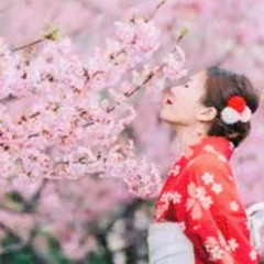 la flor de Japón musical leonardo silva t