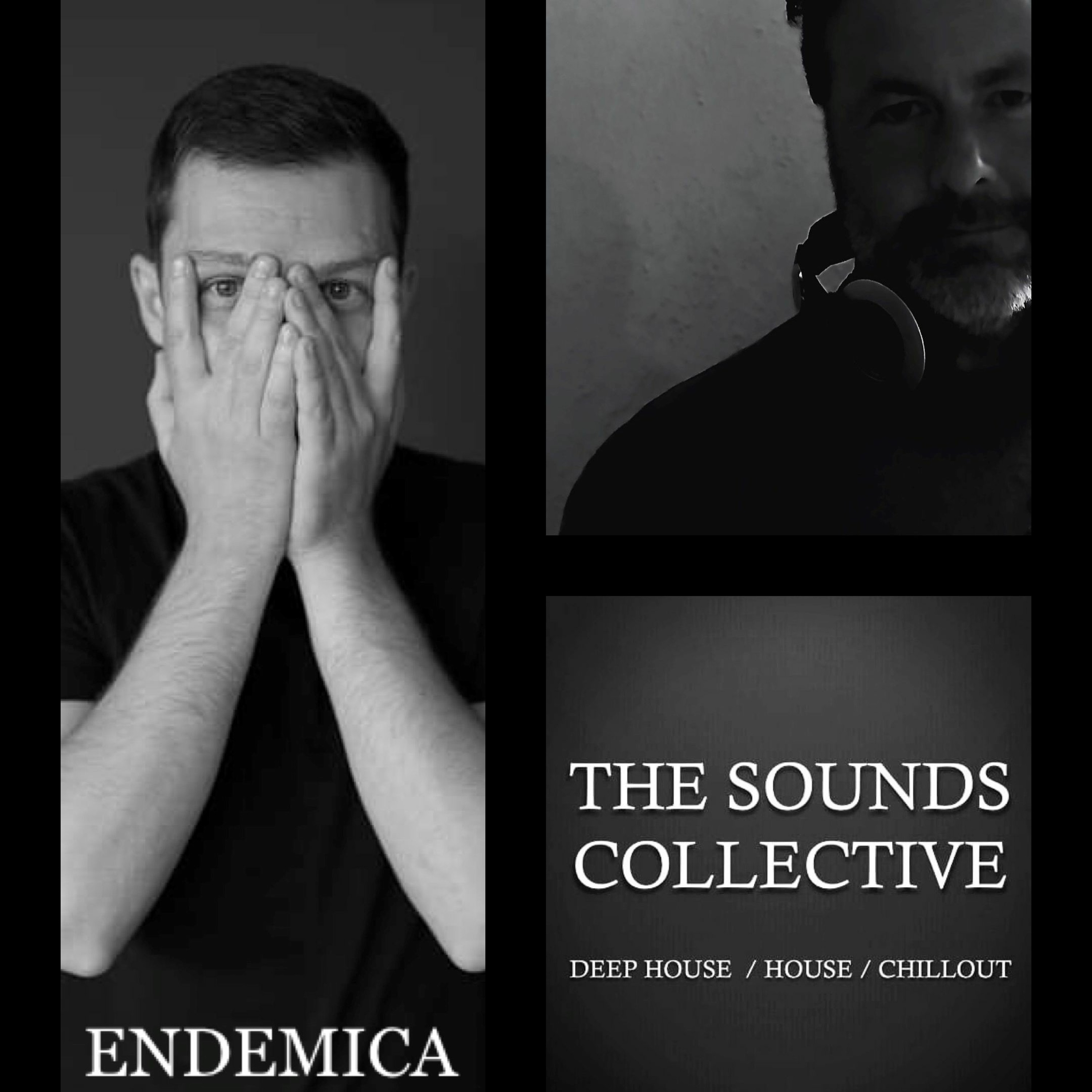 THE SOUNDS COLLECTIVE