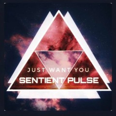 Just Want You - Sentient Pulse