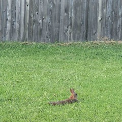 Từng nốt nhạc là lời yêu em chưa nói | Brett