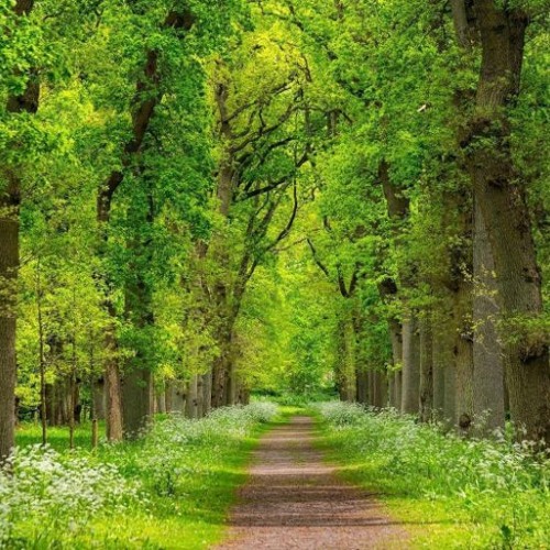 AhayuascaAhb-- news background music FREE DOWNLOAD