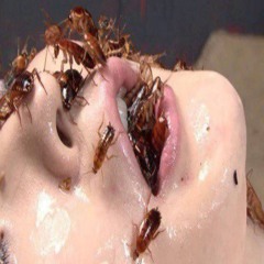 становится хуже - greenfool,jinatsu,принцессу люблю