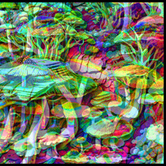 quite the vivid coloring book | untitled project 002 sessions | ambient atmospheric industrial woodland horror WIP | paris 150 bpm august 6 take 1