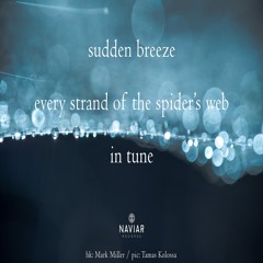 halF suddeN [naviarhaiku473]