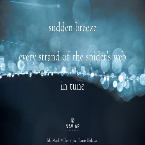 halF suddeN [naviarhaiku473]