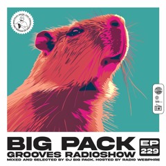 Big Pack presents Grooves Radioshow 229