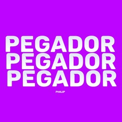 Pegador (Stream Song)