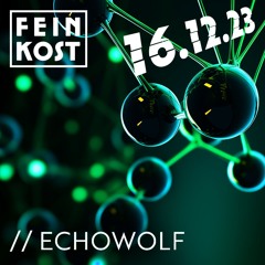 Echowolf (live) @ Kettenreaktion 16.12.23 Feinkost Ballenstedt