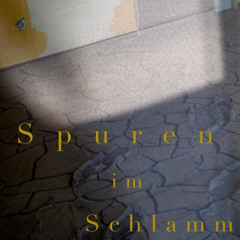 Spuren im Schlamm