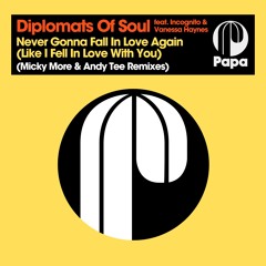 Never Gonna Fall In Love Again (Micky More & Andy Tee Remix)