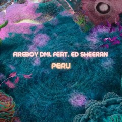 Fireboy DML feat. Ed Sheeran - Peru (Soulnetic Remix)