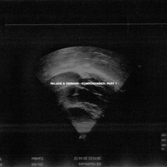 Palace X Odraud - False