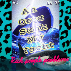 An Orca Sank My Yacht
