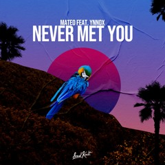 Mateo feat. Ynnox - Never Met You