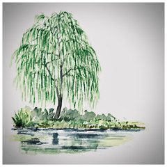 Weeping Willow