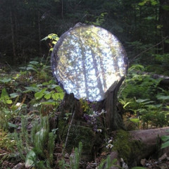 acid in the forest