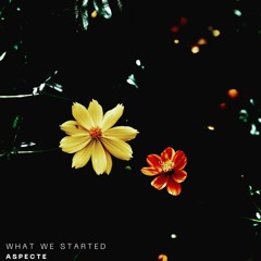 2. What We Started - Aspecte