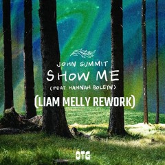 **FREE DOWNLOAD** John Summit - Show Me (Liam Melly Rework)
