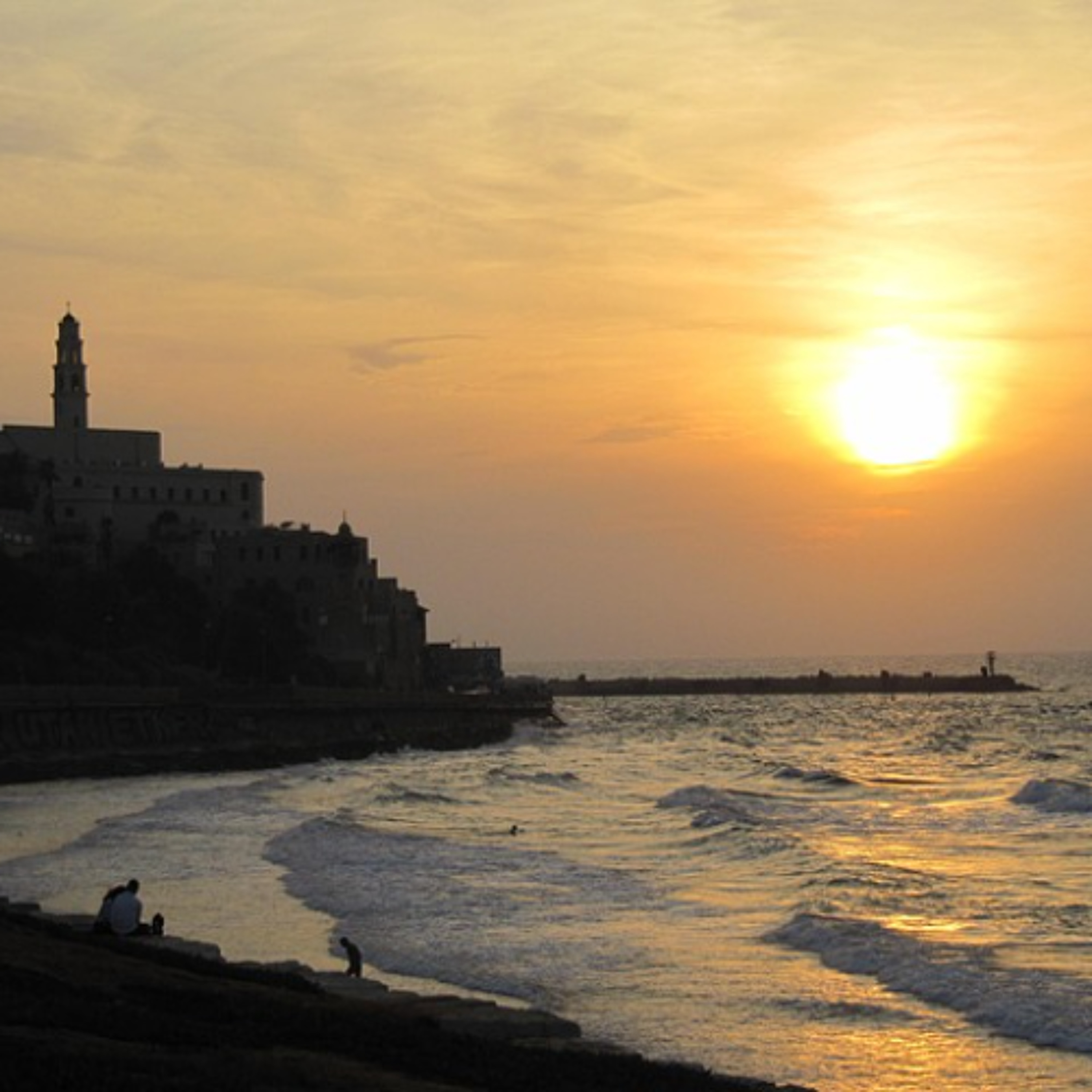 Homeward Bound: Emigrating to Israel - The Tamar Yonah Show