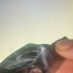 Tryna Get High