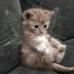 LOL TOFFI??? AHAHHA LOOOL