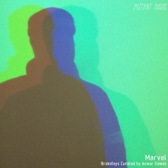 Marvel [Brokntoys Curated by Anwar Dawas]