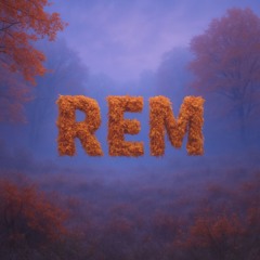 REM 005.