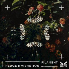 Redge x Vibration - Filament - Out Now on Kashla Records