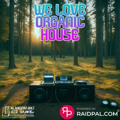 RayHill @ We love Organic House #3