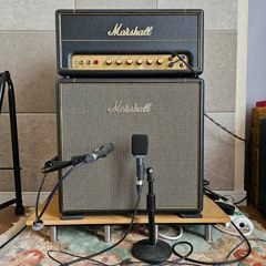 Marshall SV20H + SV112(G12m 65, Closedback Mod)