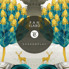 𝐏𝐑𝐄𝐌𝐈𝐄𝐑𝐄: P A N, Slabo - Echoes [Tibetania Records]