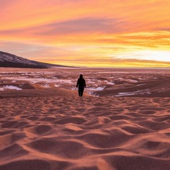 مالي أراك من النوائب تفزع