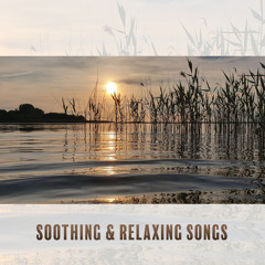 Relaxing Guitar and Waves