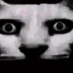 Takinyadxwn - Yk I Lied 🤥 ( nomiraymember x mexx )