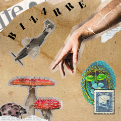 BIZ4RRE (Vintage Mix) – Ruschke [Old School House / 90s Vibe]