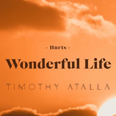 Hurts - Wonderful Life (TIMOTHY ATALLA Mix) *Supported by Adriatique & Maxi Meraki*