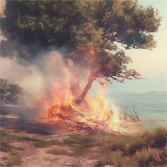 bunsenburner - fibonacci kicks