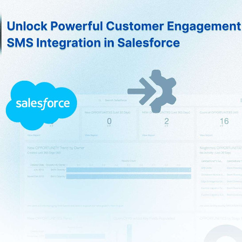 message-blink-salesforce-sms-integration