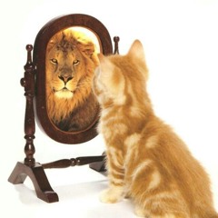 #totalamount [BENNY$HAA EXCLUSIVE]