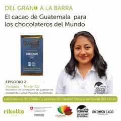 Laboratorio de control y análisis de calidad física y sensorial del cacao