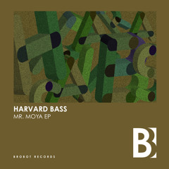 Harvard Bass - Mr. Moya