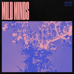 Premiere: Mild Minds - VIEWS (Laurence Guy Remix)