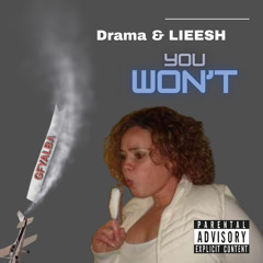 Drama & LIEESH - You Won’t (original mix)