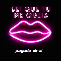 Sei Que Tu Me Odeia