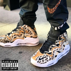 Scottie Pippens Freestyle
