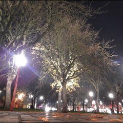 Light pollution: Interview with a lighting counselor