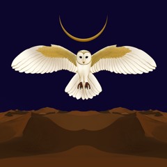 Seeking Trinity Ft Gølde