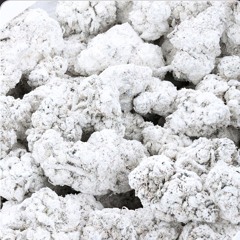 $tar$lol (who to chose)